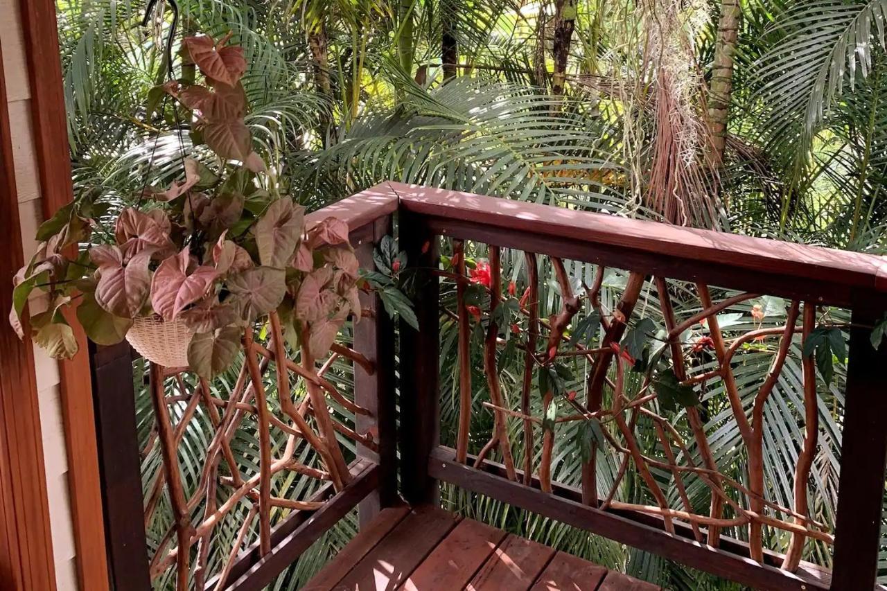 Phoenix Garden Pahoa Екстериор снимка
