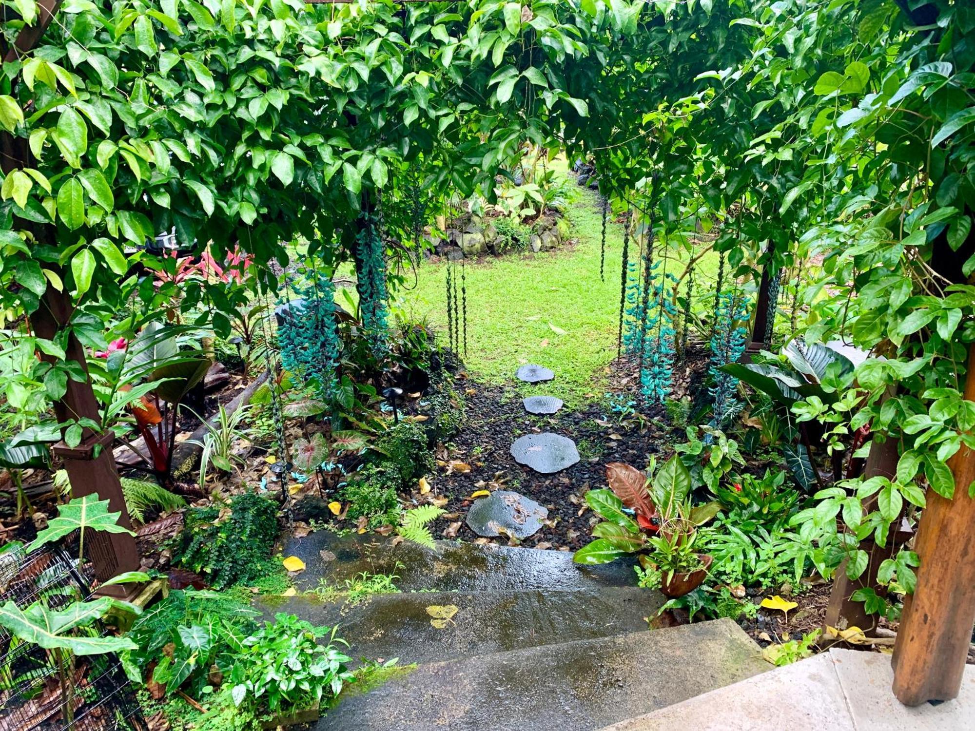 Phoenix Garden Pahoa Екстериор снимка